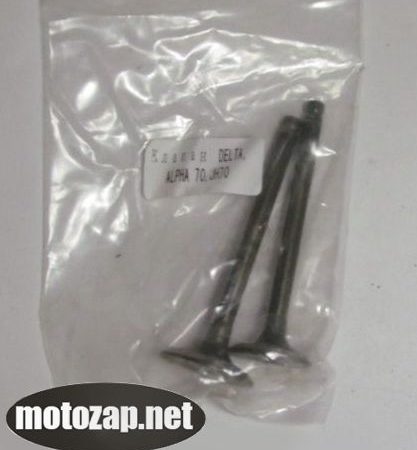 Клапан впускний + випускний Alpha Delta Active 70/110куб