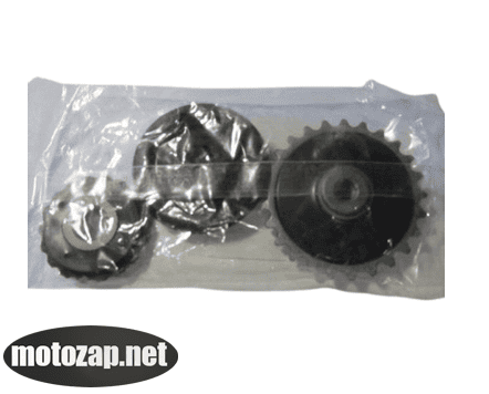 Натягувач цепа ГРМ (3 ролики) Alpha Delta Active