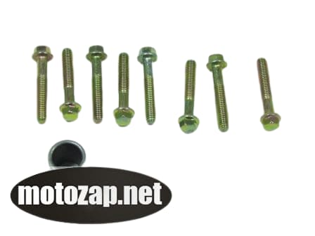 Болти кришки варіатора скутер GY6 4T 9 шт з втулкою півмісяця
