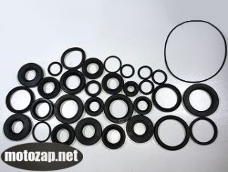 Сальник 1 шт (різні)