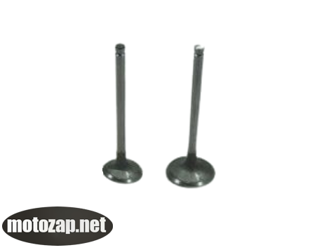 Клапан впускний і випускний мотоблок R195N