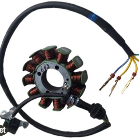 Статор генератор ЕНДУРО KAYA 612