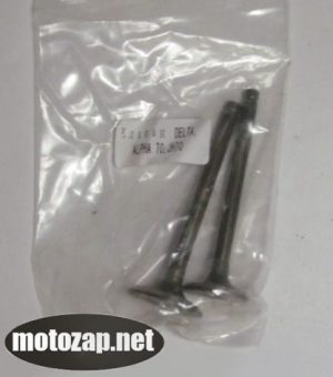 Клапан впускний + випускний Alpha Delta Active 70/110куб