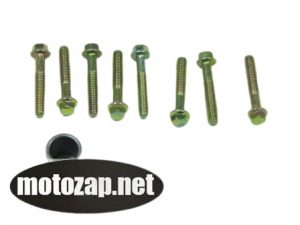 Болти кришки варіатора скутер GY6 4T 9 шт з втулкою півмісяця