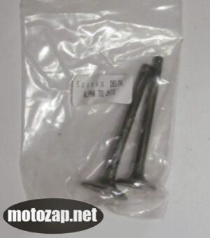 Клапан впускний + випускний Alpha Delta Active 70/110куб