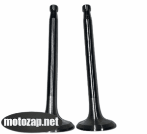 Клапан впускний і випускний мотоблок ZH1100